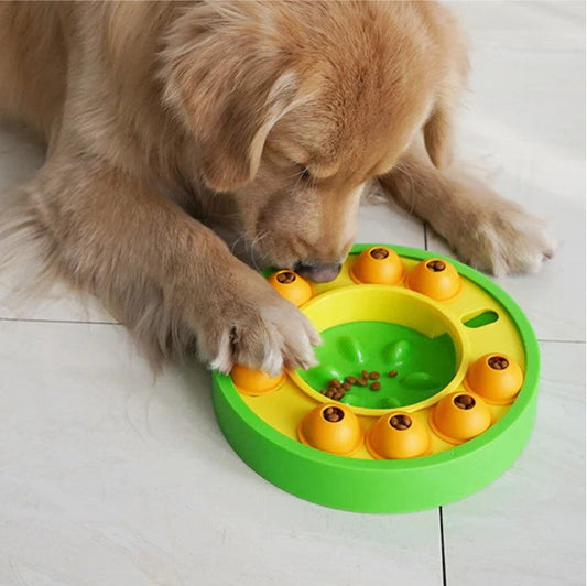 Slow-Feeder Puzzle für Hunde